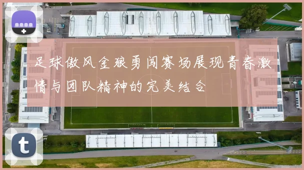 足球傲风金狼勇闯赛场展现青春激情与团队精神的完美结合