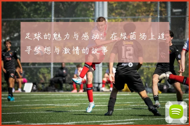 足球的魅力与感动：在绿茵场上追寻梦想与激情的故事