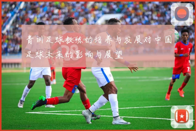 青训足球教练的培养与发展对中国足球未来的影响与展望