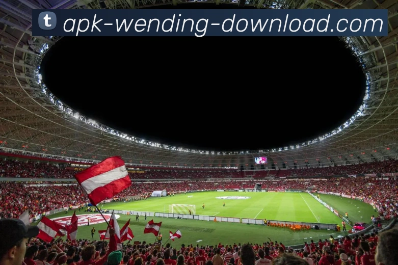 多媒体互动体验